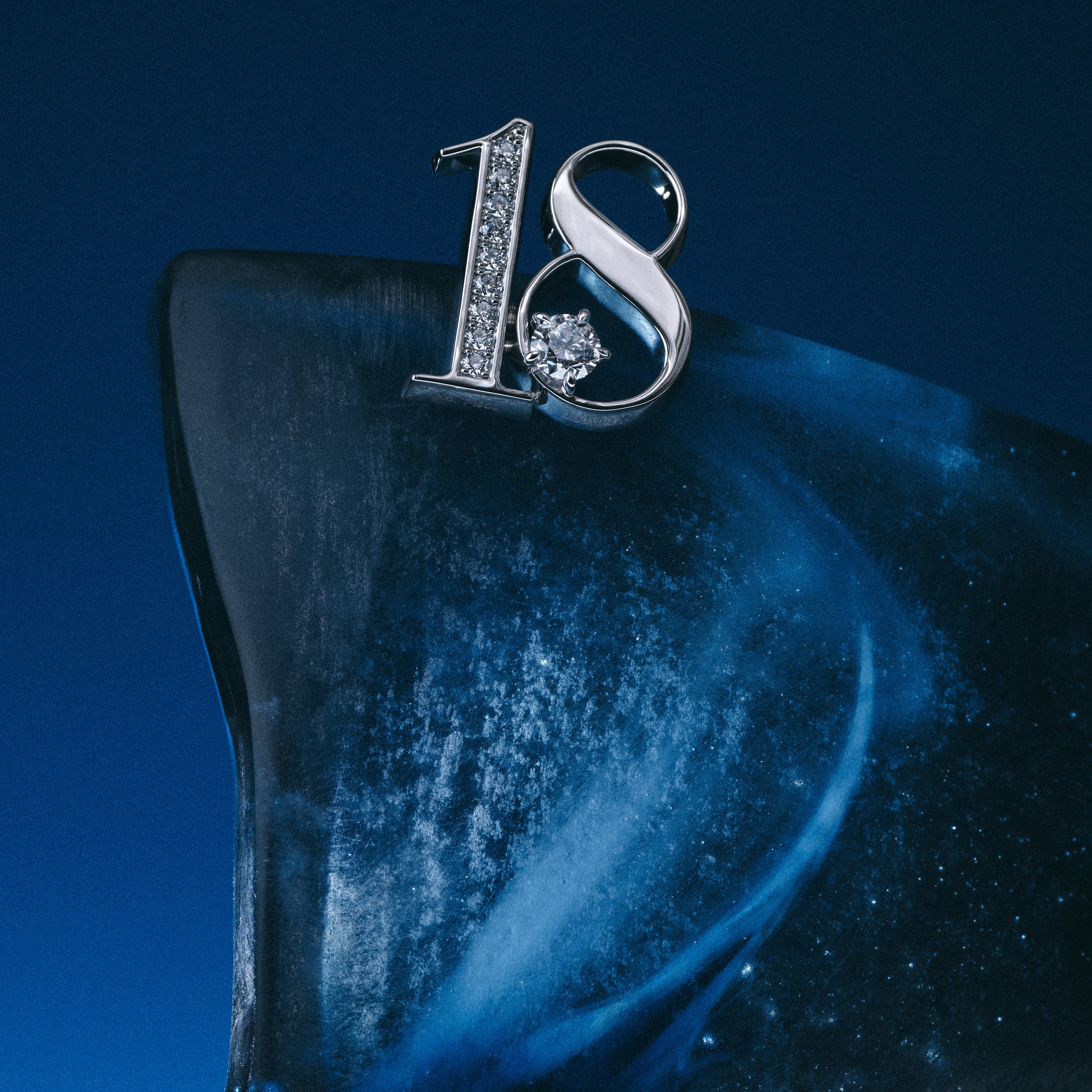 MNSPラペルピン#18