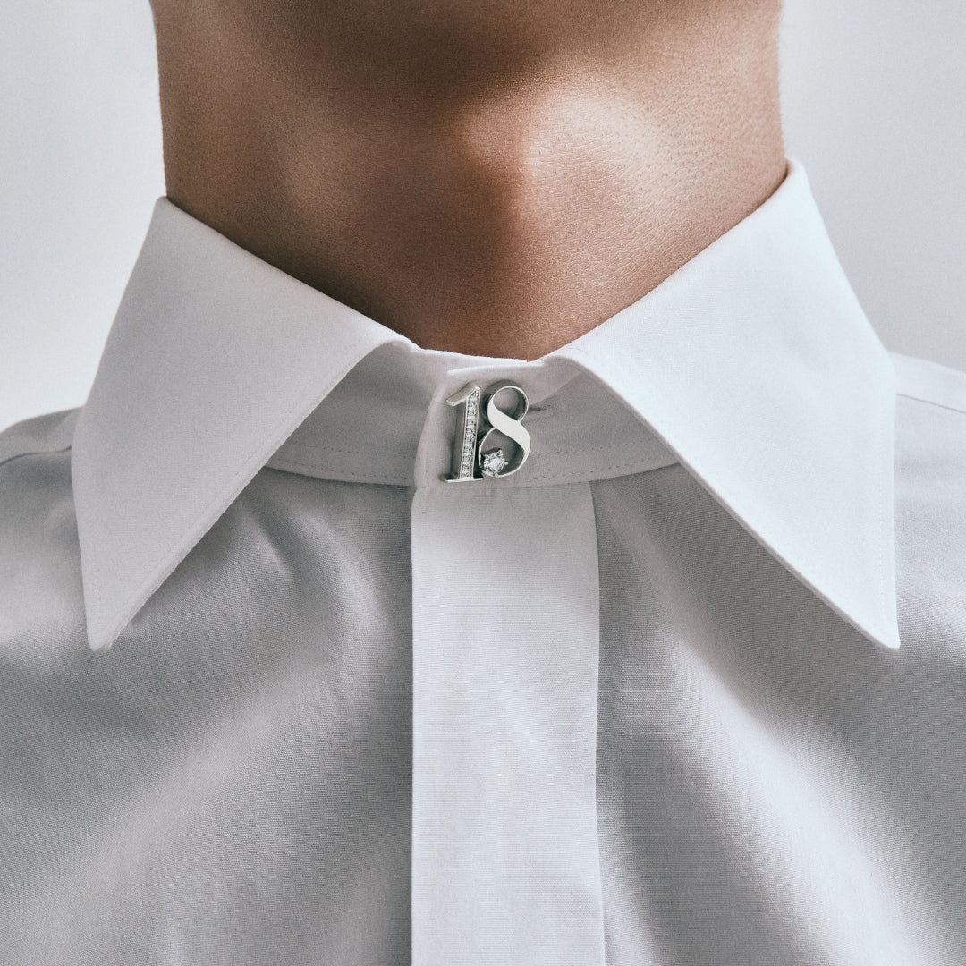 MNSP Lapel Pin #18
